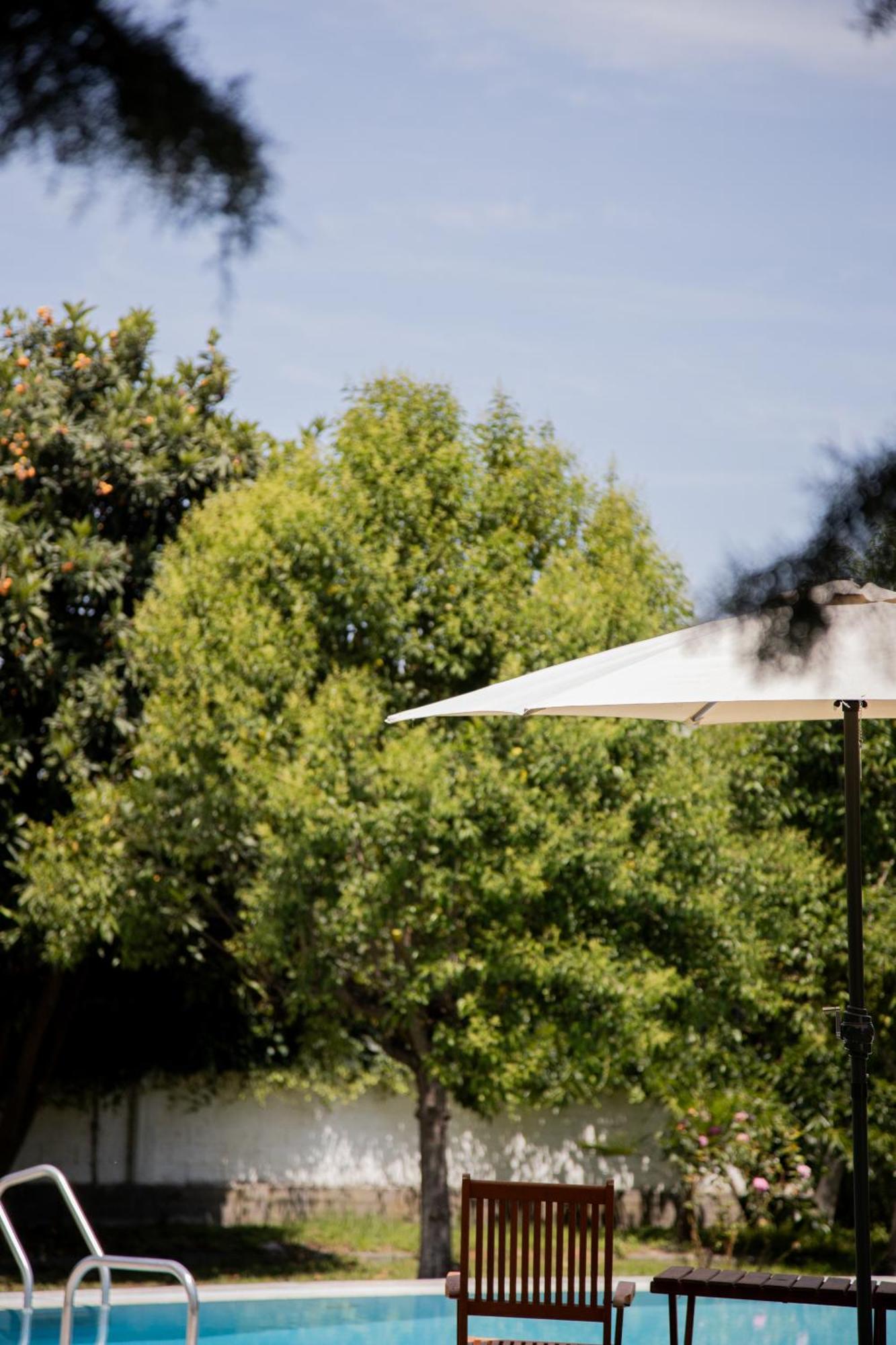 Zeusplace Poolvilla Natura Paralia Kateríni Exterior foto